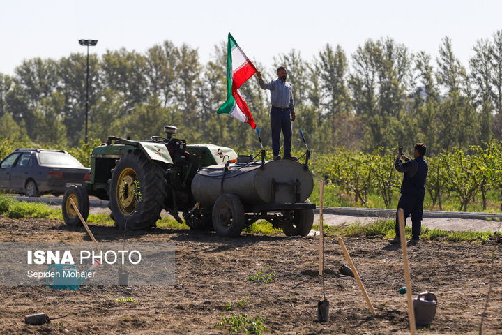 پویش ملی "نهال امید" - مشهد