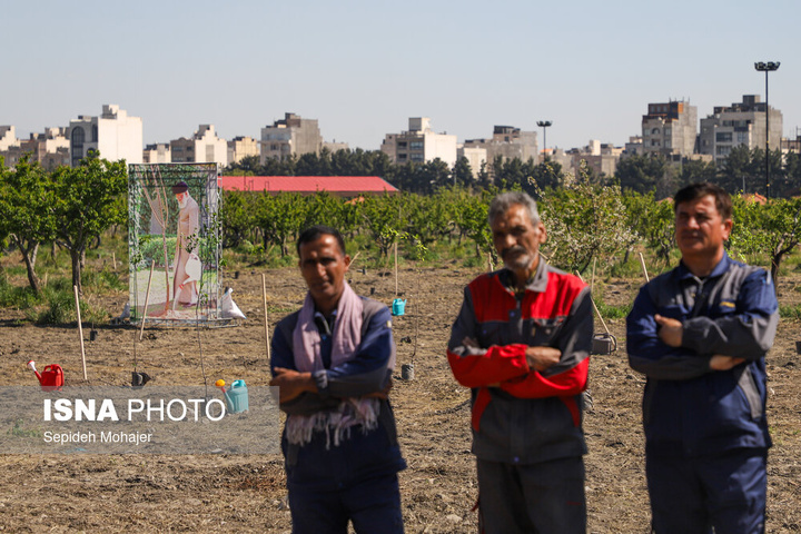 پویش ملی "نهال امید" - مشهد