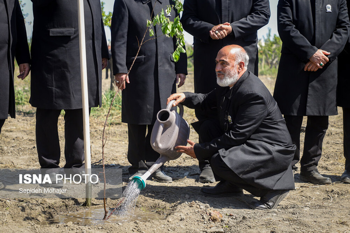 پویش ملی "نهال امید" - مشهد
