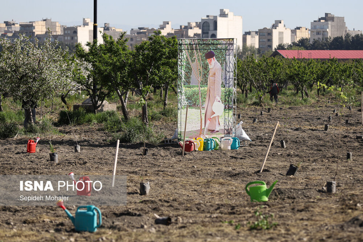 پویش ملی "نهال امید" - مشهد