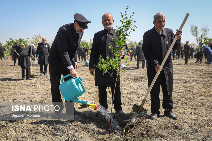 پویش ملی "نهال امید" - مشهد