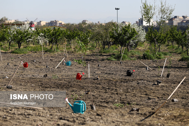 پویش ملی "نهال امید" - مشهد