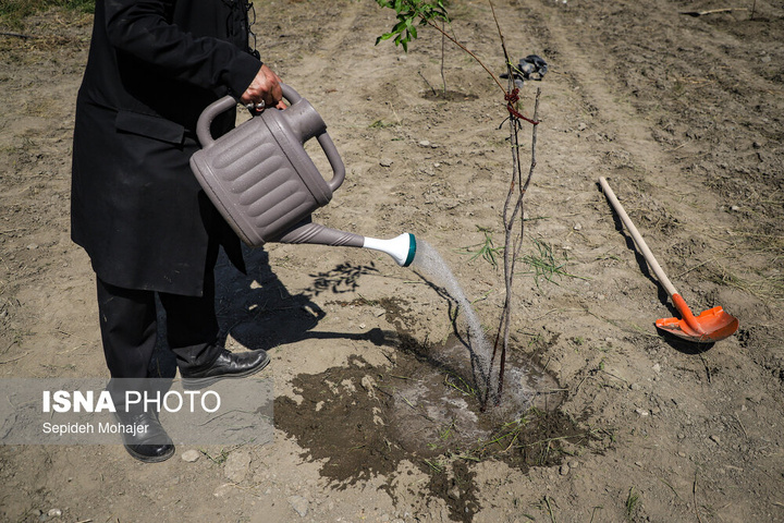 پویش ملی "نهال امید" - مشهد