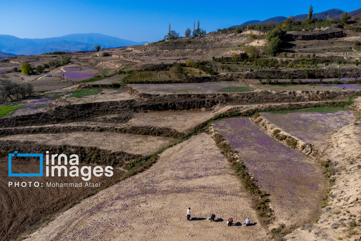 تمدنی ۷ هزار ساله