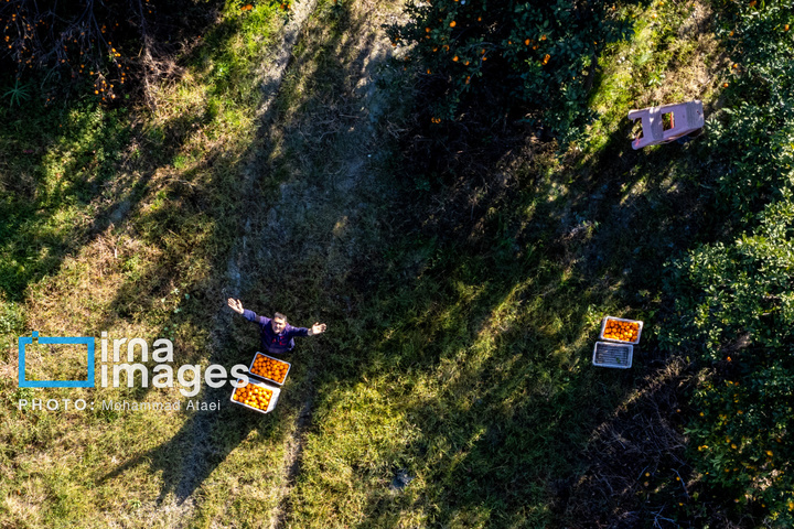 تمدنی ۷ هزار ساله