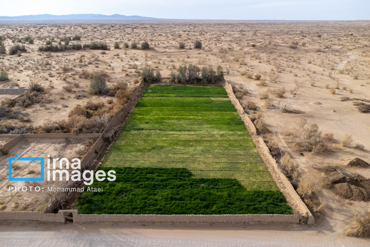 تمدنی ۷ هزار ساله