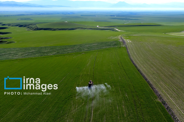 تمدنی ۷ هزار ساله