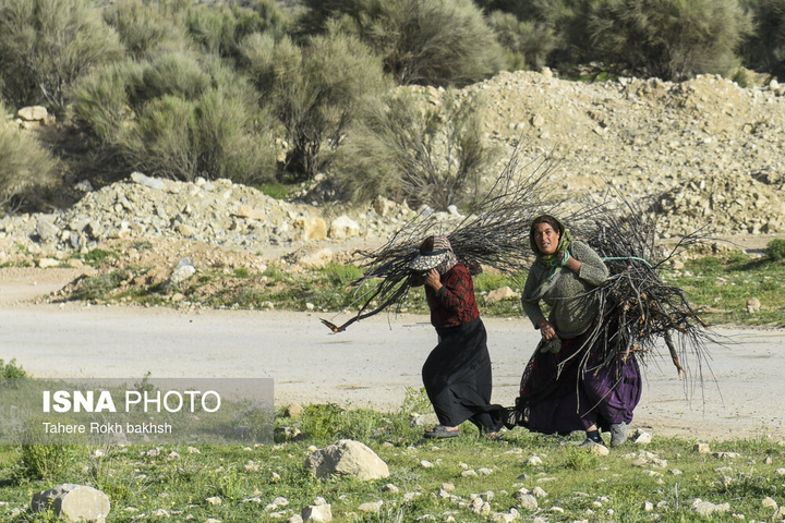 کوچ بهاری عشایر استان فارس