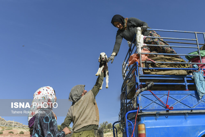 کوچ بهاری عشایر استان فارس