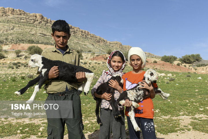 کوچ بهاری عشایر استان فارس