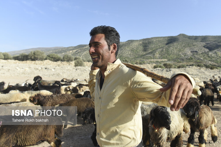 کوچ بهاری عشایر استان فارس