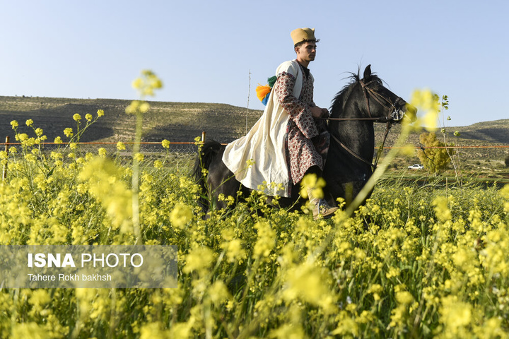 کوچ بهاری عشایر استان فارس