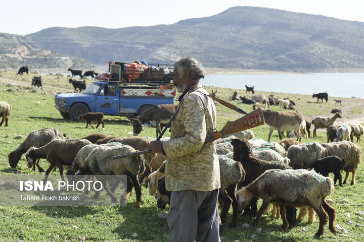 کوچ بهاری عشایر استان فارس