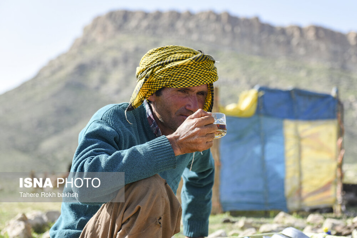 کوچ بهاری عشایر استان فارس