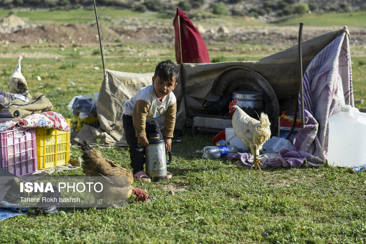 کوچ بهاری عشایر استان فارس