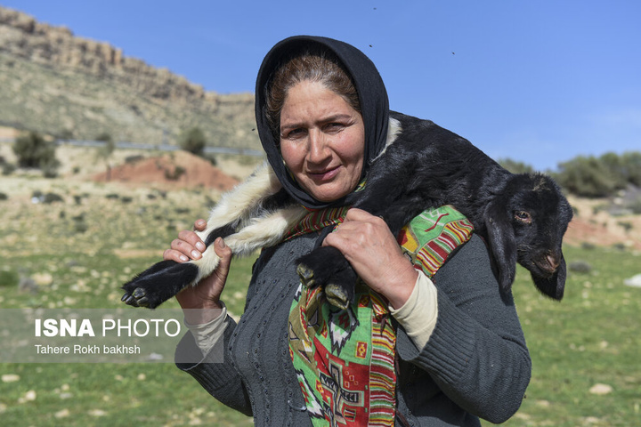 کوچ بهاری عشایر استان فارس