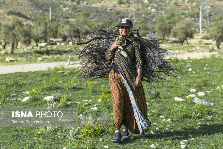 کوچ بهاری عشایر استان فارس