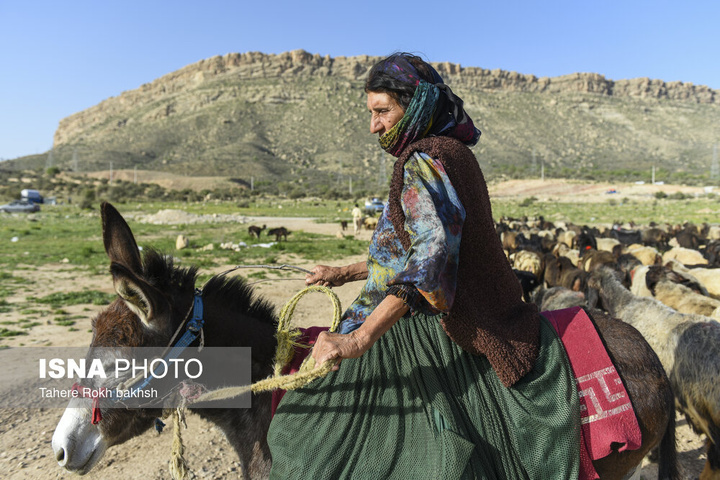 کوچ بهاری عشایر استان فارس