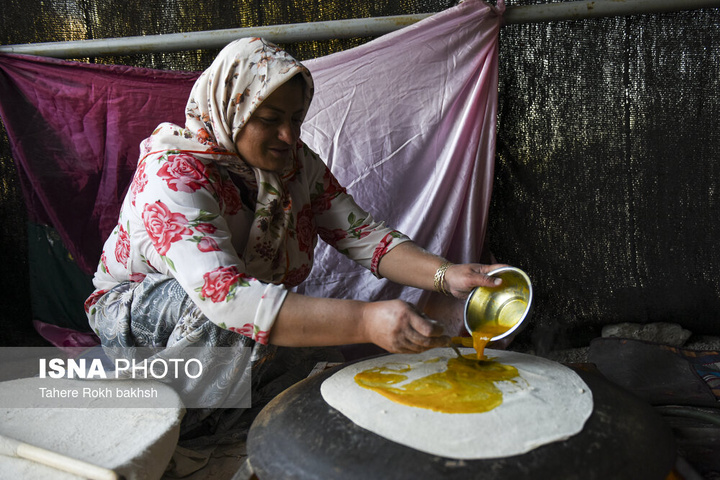 کوچ بهاری عشایر استان فارس