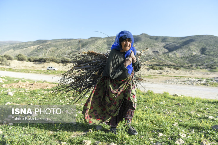 کوچ بهاری عشایر استان فارس