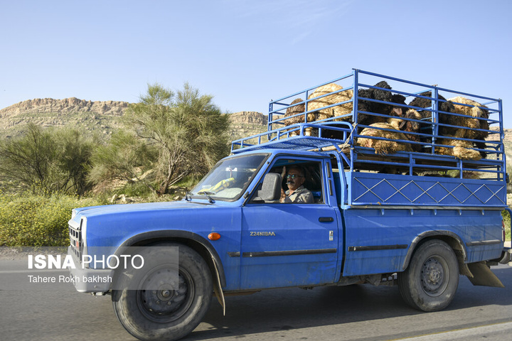 کوچ بهاری عشایر استان فارس