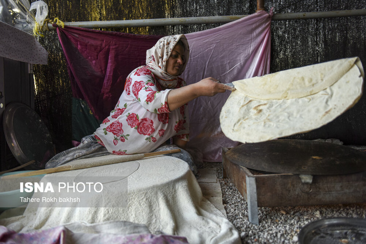 کوچ بهاری عشایر استان فارس