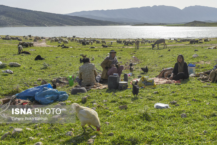 کوچ بهاری عشایر استان فارس