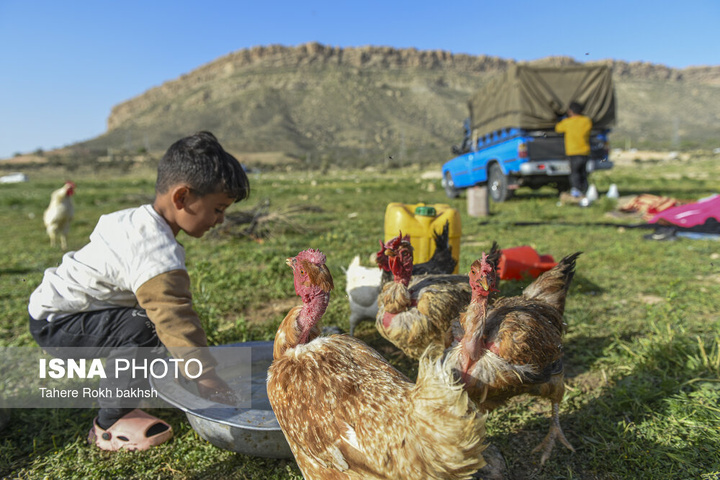 کوچ بهاری عشایر استان فارس