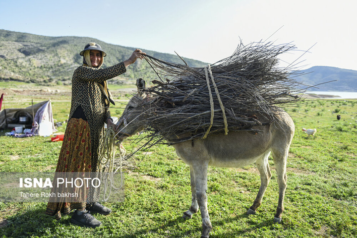 کوچ بهاری عشایر استان فارس