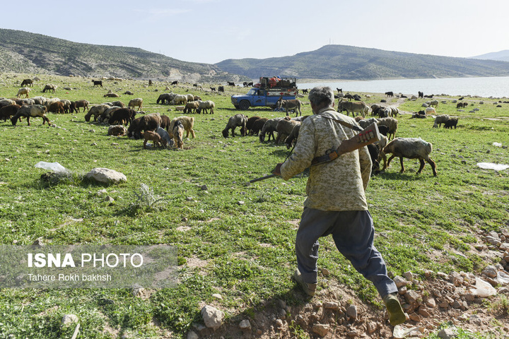 کوچ بهاری عشایر استان فارس