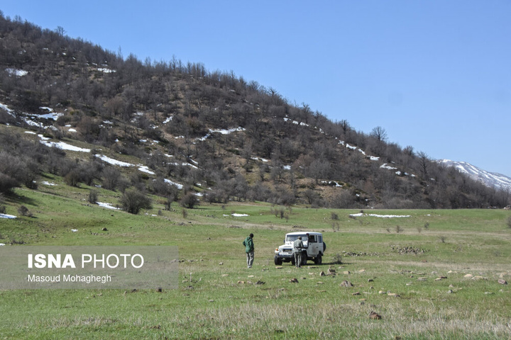 سرشماری حیات وحش جنگل‌های هیرکانی رودبارک - سمنان