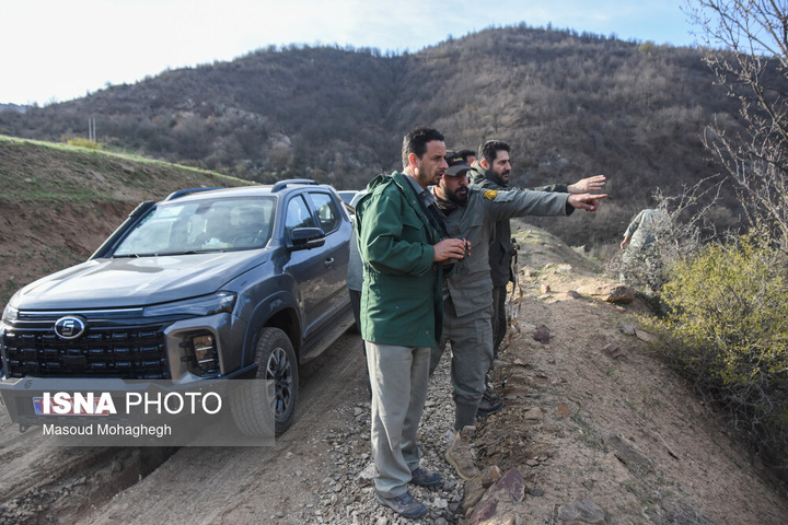 سرشماری حیات وحش جنگل‌های هیرکانی رودبارک - سمنان