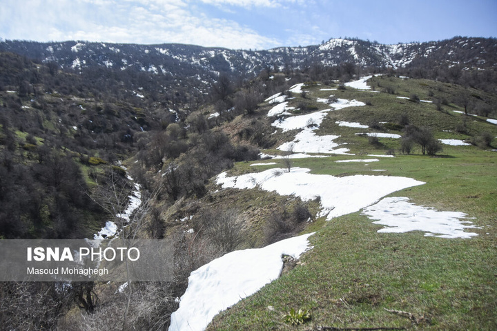 سرشماری حیات وحش جنگل‌های هیرکانی رودبارک - سمنان
