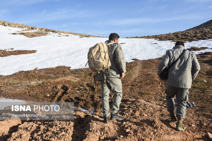 سرشماری حیات وحش جنگل‌های هیرکانی رودبارک - سمنان