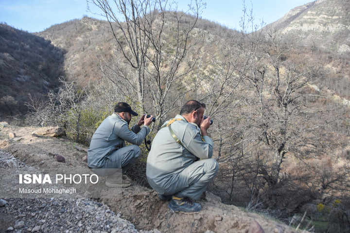 سرشماری حیات وحش جنگل‌های هیرکانی رودبارک - سمنان