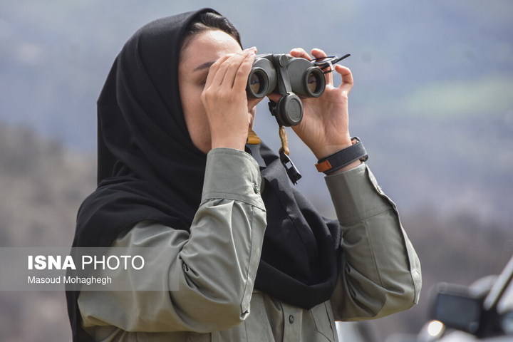 سرشماری حیات وحش جنگل‌های هیرکانی رودبارک - سمنان