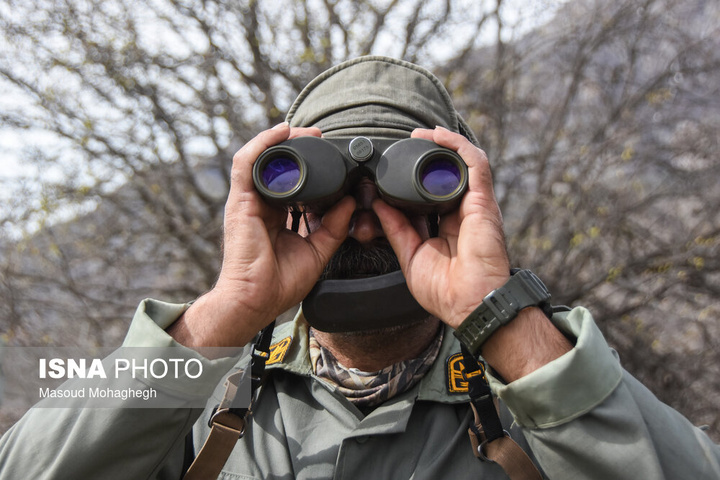 سرشماری حیات وحش جنگل‌های هیرکانی رودبارک - سمنان