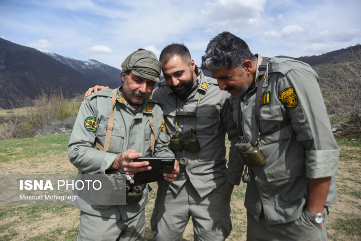 سرشماری حیات وحش جنگل‌های هیرکانی رودبارک - سمنان