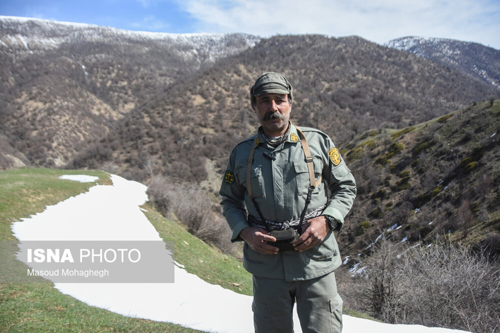 سرشماری حیات وحش جنگل‌های هیرکانی رودبارک - سمنان