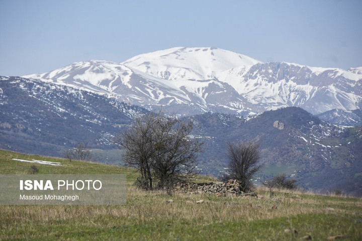 سرشماری حیات وحش جنگل‌های هیرکانی رودبارک - سمنان