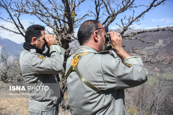 سرشماری حیات وحش جنگل‌های هیرکانی رودبارک - سمنان