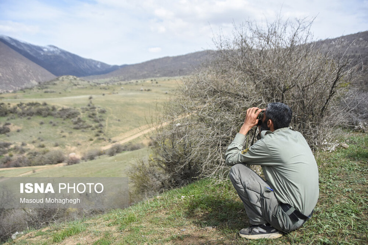 سرشماری حیات وحش جنگل‌های هیرکانی رودبارک - سمنان