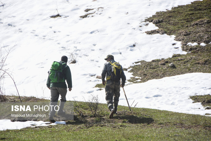 سرشماری حیات وحش جنگل‌های هیرکانی رودبارک - سمنان