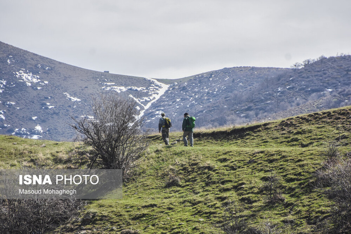 سرشماری حیات وحش جنگل‌های هیرکانی رودبارک - سمنان