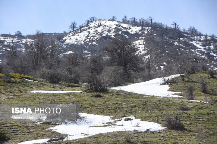سرشماری حیات وحش جنگل‌های هیرکانی رودبارک - سمنان