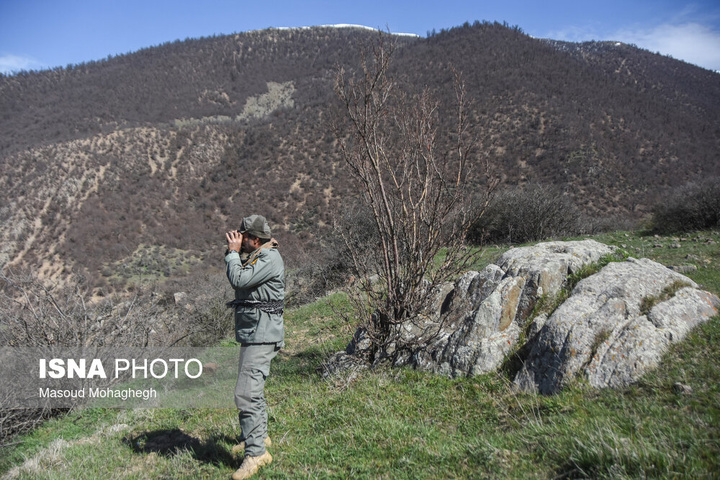 سرشماری حیات وحش جنگل‌های هیرکانی رودبارک - سمنان