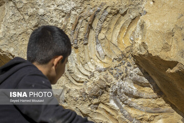 لیوس؛ روستایی از دل سنگ