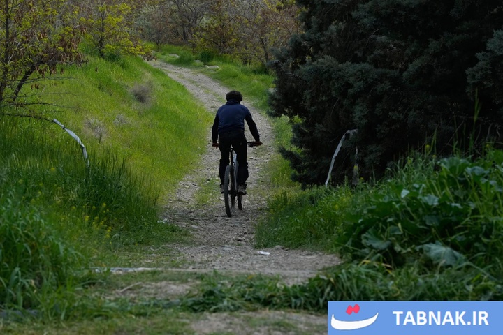 چهره زنده تهران؛ ترکیب لحظه‌ها و ایستادگی