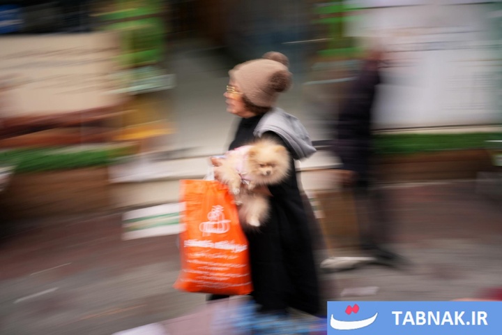 چهره زنده تهران؛ ترکیب لحظه‌ها و ایستادگی