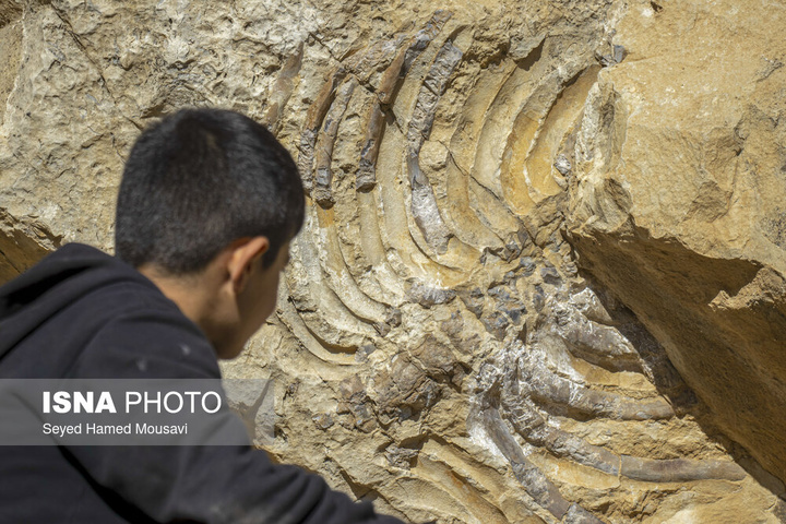 لیوس؛ روستایی از دل سنگ